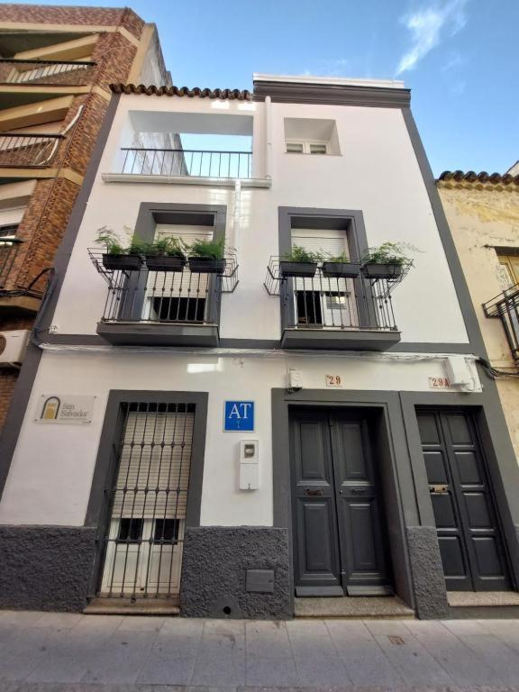 San Salvador Parking Gratis Apartment Merida